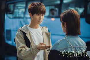 我的莫格利男孩,丛林奇遇，成长之旅