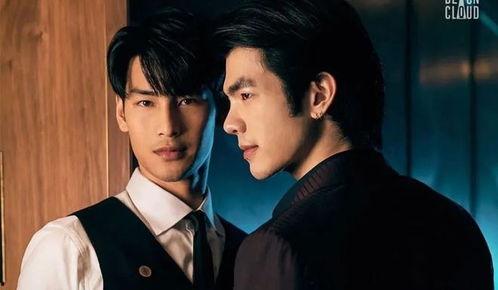 寻爱错爱 第一季,寻爱季的悲欢离合